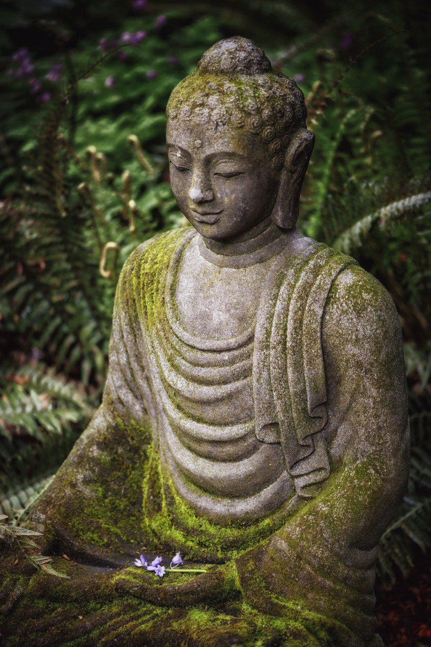 Mandala Yoga Continentale